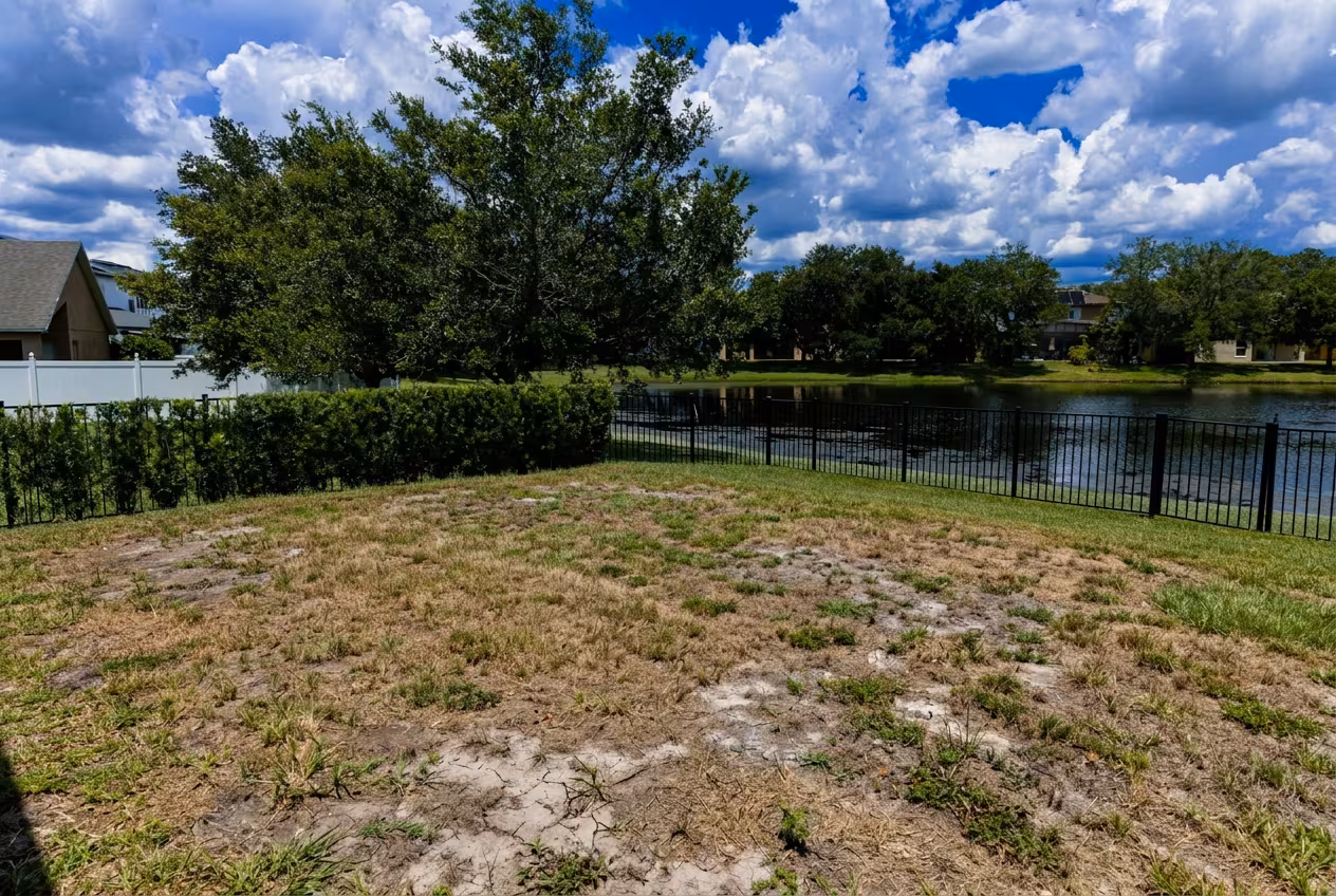 Bare lawn to modern lap pool — before